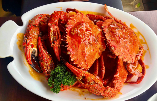 620 pixels placeholder image